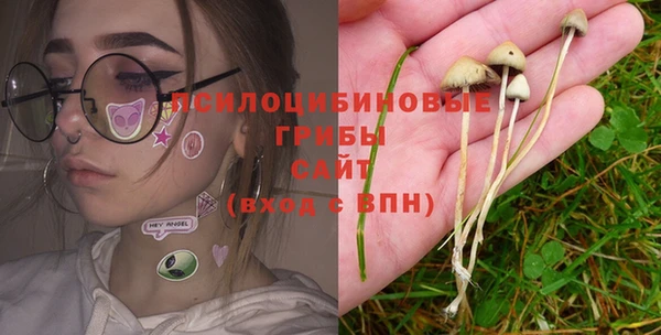 не бодяженный Каменка