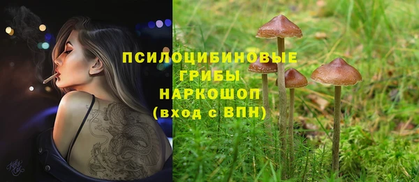 spice Каменск-Шахтинский