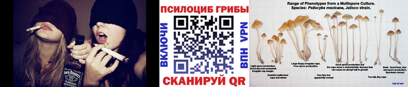 даркнет сайт  Миньяр  Галлюциногенные грибы ЛСД 